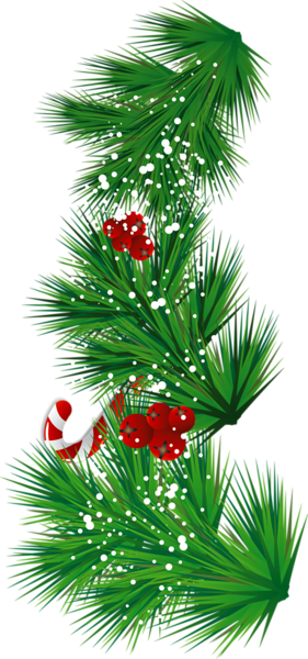 This png image - Transparent Pine Branch with Candy Cane and Mistletoe PNG Clipart, is available for free download