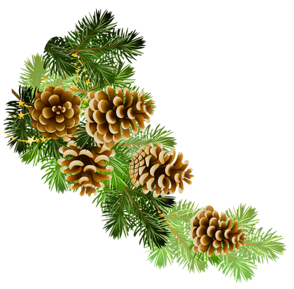 This png image - Transparent Pine Branch with Cones PNG Clipart, is available for free download