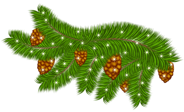 This png image - Transparent Pine Branch with Pine Cones PNG Clipart, is available for free download