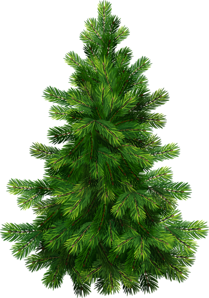 Transparent_Pine_Tree_PNG_Clipart.png