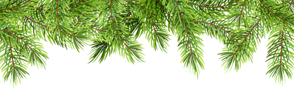 This png image - Upper Pine Border PNG Clip Art, is available for free download