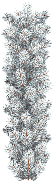 This png image - White Pine Branch Clip Art Image, is available for free download