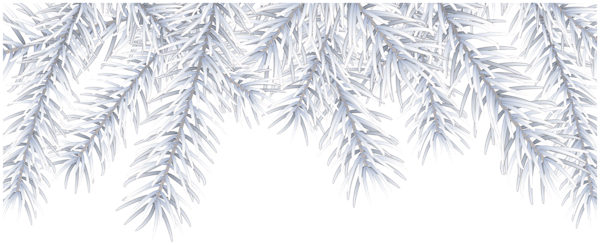 This png image - White Pine Decor Clip Art Image, is available for free download