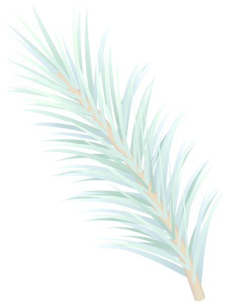 This png image - Winter Pine Branch Decor PNG Clipart, is available for free download