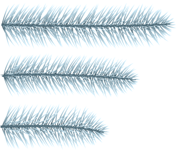 This png image - Winter Pine Branches PNG Clip Art Image, is available for free download