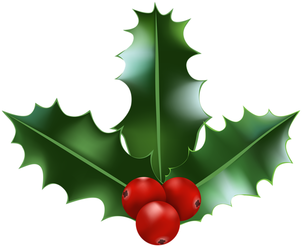 This png image - Xmas Holly PNG Clipart, is available for free download