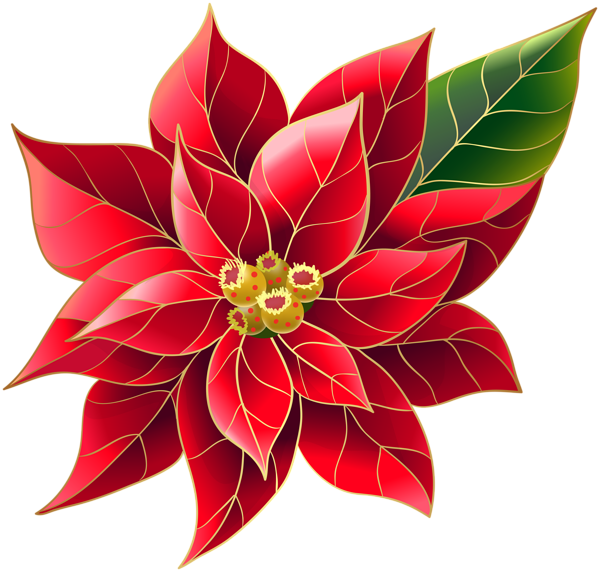 Xmas Poinsettia PNG Clip Art | Gallery Yopriceville - High-Quality Free ...