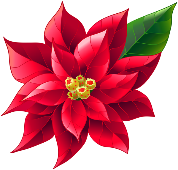 Xmas Poinsettia PNG Clip Art Image | Gallery Yopriceville - High ...