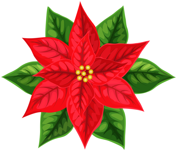 This png image - Xmas Poinsettia Red PNG Clipart, is available for free download