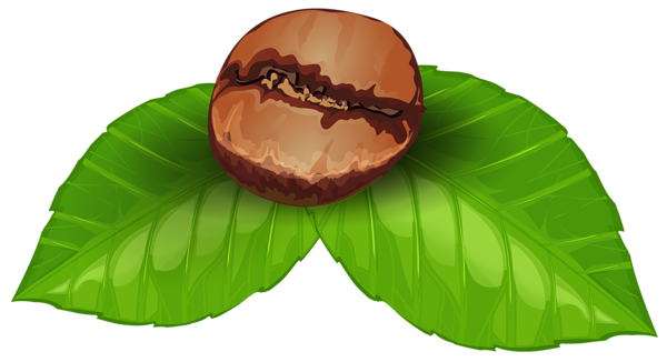 This png image - Coffee Bean PNG Clipart Image, is available for free download