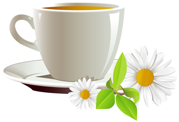 This png image - Cup of Coffee and Daisies PNG Clipart, is available for free download