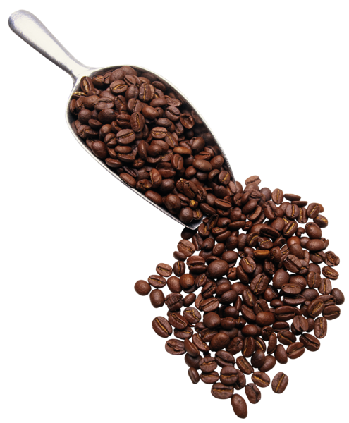 This png image - Transparent Coffee PNG Picture, is available for free download