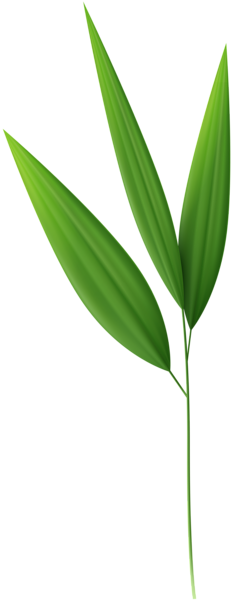 This png image - Bamboo Leaves PNG Clipart, is available for free download