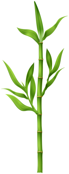This png image - Bamboo Plant PNG Clipart, is available for free download