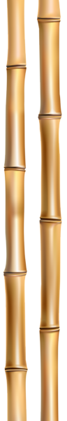 This png image - Bamboo Sticks PNG Clip Art Image, is available for free download