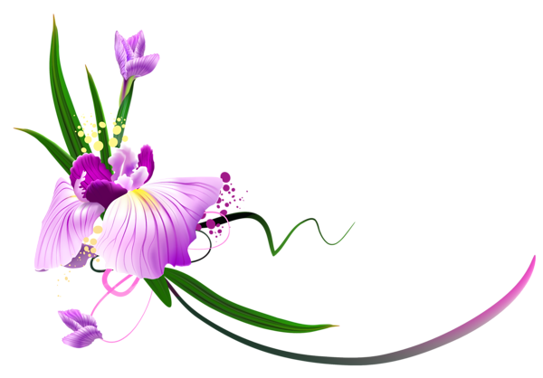 Beautiful Purple Floral Decor PNG Clipart | Gallery ...