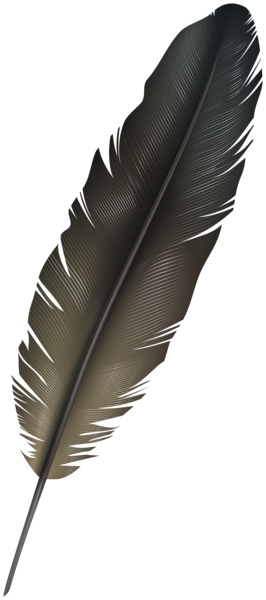 This png image - Bird Feather PNG Clipart, is available for free download