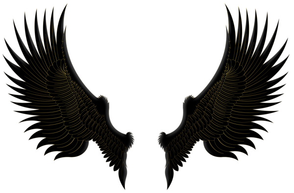 This png image - Black Gold Wings PNG Clip Art Image, is available for free download