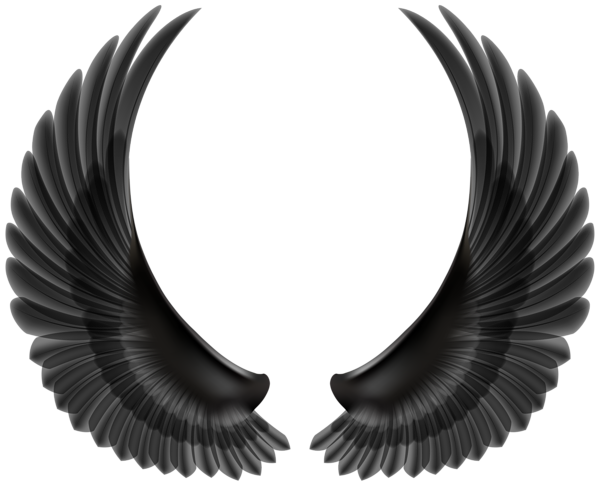 This png image - Black Wings PNG Transparent Clipart, is available for free download