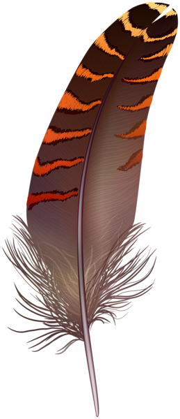 This png image - Brown Feather PNG Clip Art, is available for free download