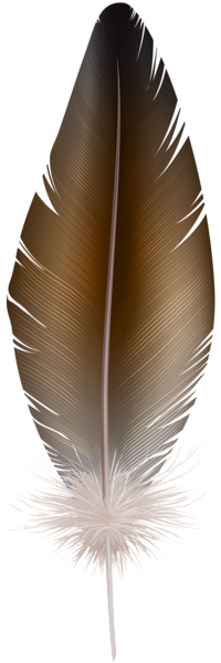 This png image - Brown Feather PNG Clip Art Image, is available for free download