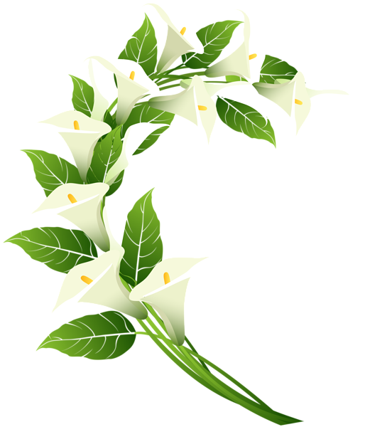 Calla Lily Decoration PNG Clip Art Image | Gallery Yopriceville - High ...