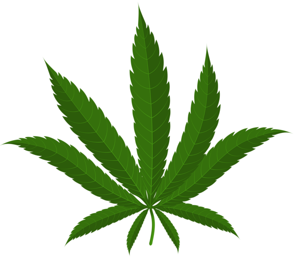 This png image - Cannabis Leaf PNG Clipart, is available for free download