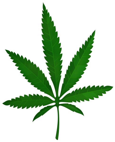 This png image - Cannabis Leaf PNG Transparent Clipart, is available for free download