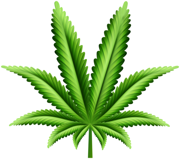 This png image - Cannabis Marijuana Leaf PNG Clipart, is available for free download