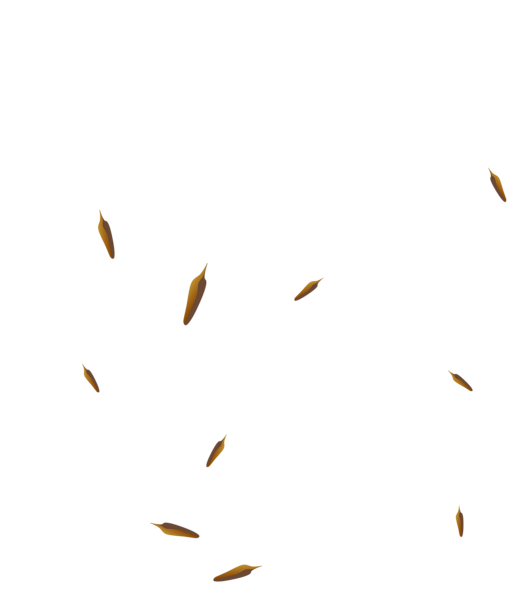This png image - Dandelions Transparent PNG Clip Art Image, is available for free download