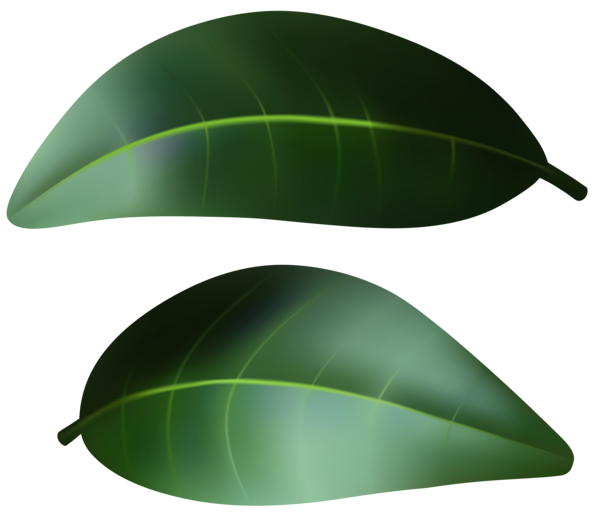 This png image - Dark Green Leaves PNG Transparent Clipart, is available for free download