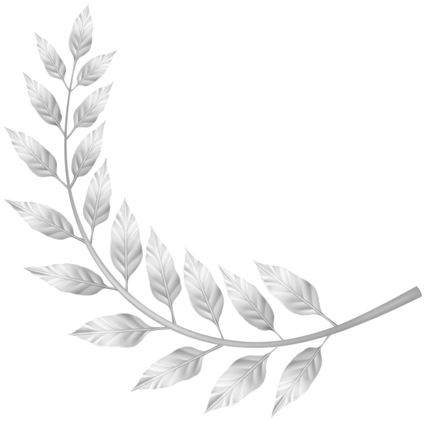 This png image - Deco Branch PNG Transparent Clipart, is available for free download