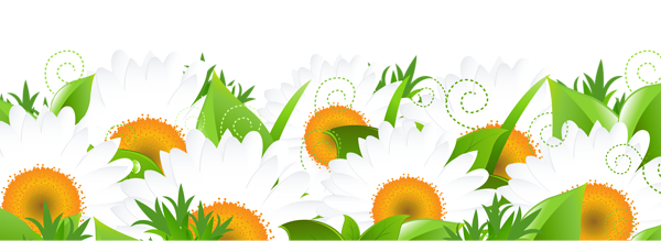 This png image - Decoration with Daisies PNG Picture, is available for free download