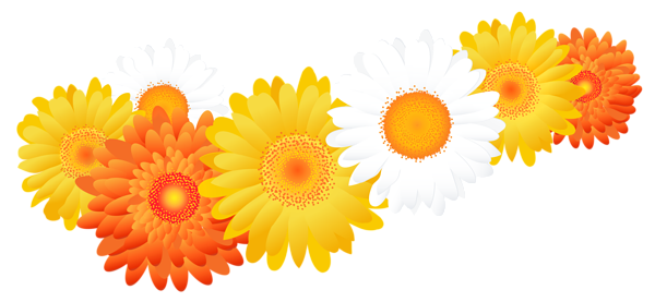 This png image - Decoration with Gerberas PNG Image, is available for free download