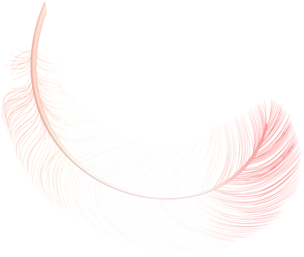 This png image - Decorative Feather PNG Clipart, is available for free download