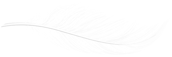This png image - Decorative Feather White PNG Clipart, is available for free download