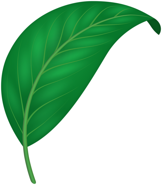 This png image - Decorative Green Leaf PNG Clipart, is available for free download