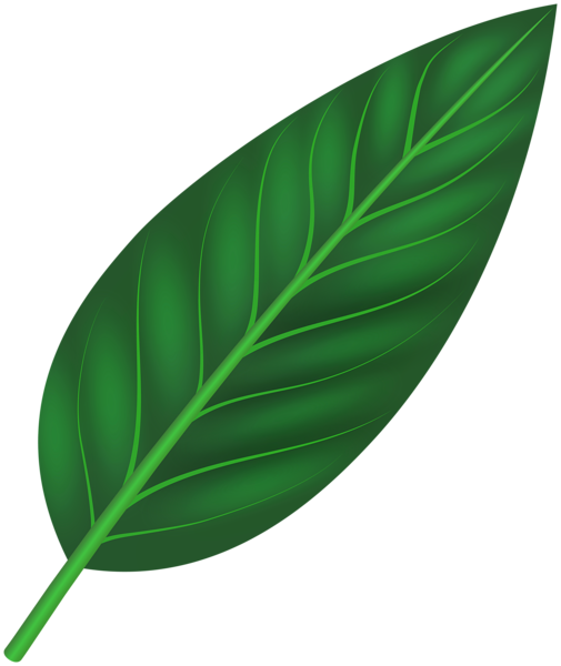 This png image - Decorative Leaf PNG Clipart, is available for free download