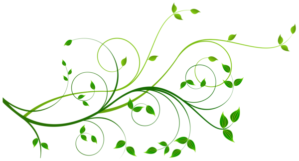 This png image - Decorative Leaves PNG Transparent Clipart, is available for free download