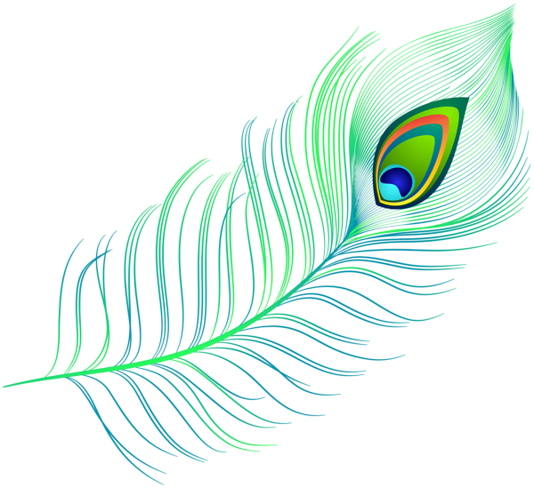 This png image - Decorative Peacock Feather PNG Clipart, is available for free download
