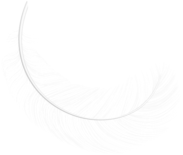This png image - Decorative White Feather PNG Clipart, is available for free download
