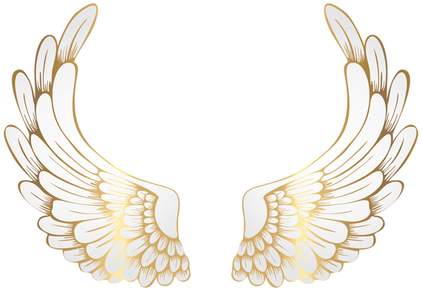 This png image - Decorative White Wings PNG Clipart, is available for free download