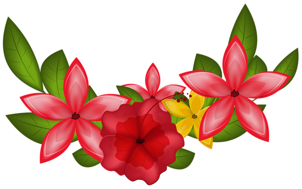 This png image - Exotic Floral Decoration PNG Clipart Image, is available for free download