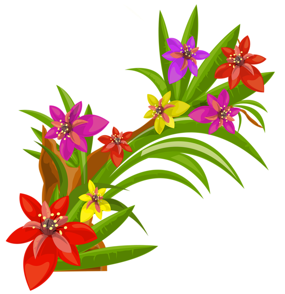 This png image - Exotic Flowers Decoration PNG Image, is available for free download