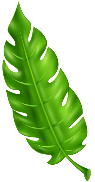 This png image - Exotic Green Leaf Clip Art PNG Image, is available for free download