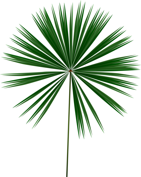 This png image - Exotic Green Leaf PNG Clip Art Image, is available for free download