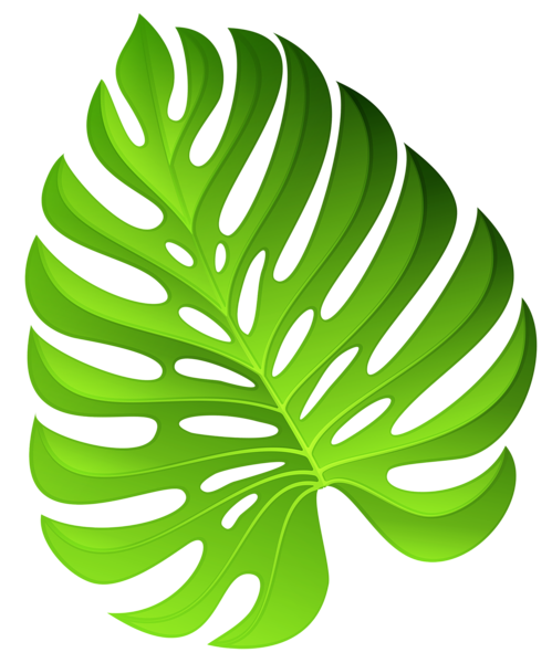 This png image - Exotic Green Plant Decoration PNG Clipart Image, is available for free download