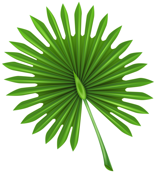 This png image - Exotic Leaf Clip Art PNG Image, is available for free download