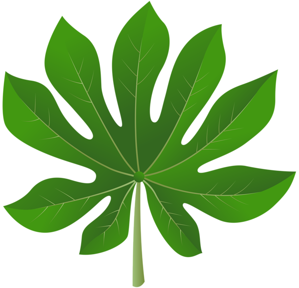 This png image - Exotic Leaf PNG Clip Art Image, is available for free download