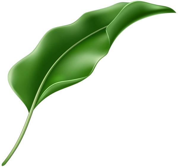 This png image - Exotic Leaf PNG Clipart, is available for free download